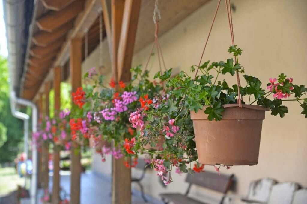 Planters